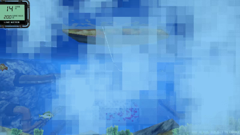 Fish Fight! video 3