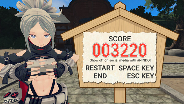 Скриншот из NINDO