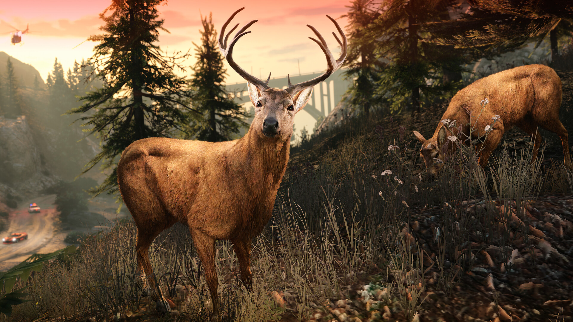 Screenshot 22