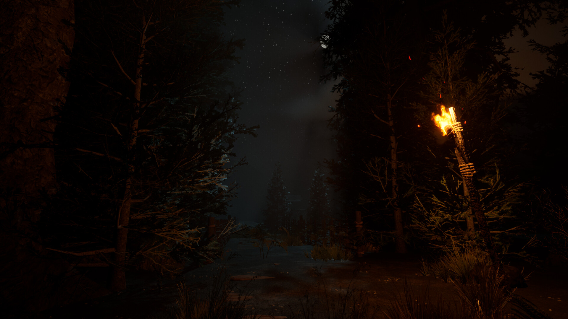 The veil of the forgotten screenshot #4