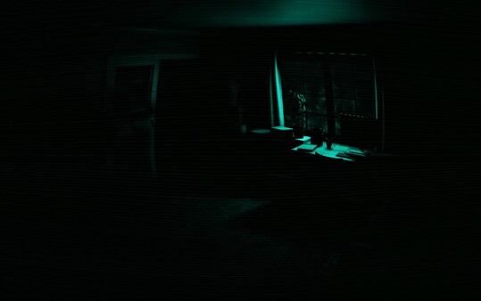Скриншот из THE DAMN PSYCHIATRIC Скриншот из THE DAMN PSYCHIATRIC