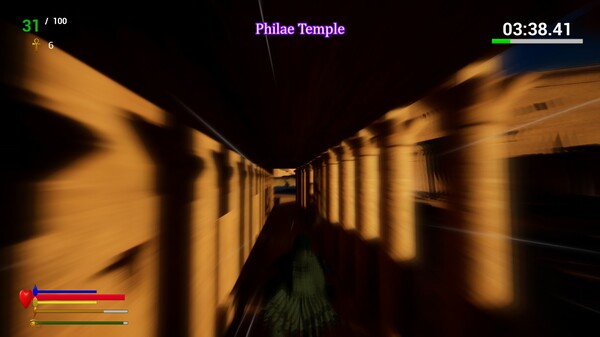 Unexpected Pigeon Race.