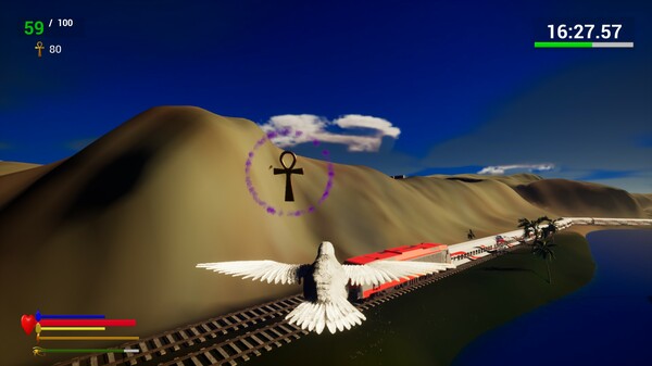 Unexpected Pigeon Race.