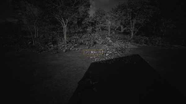 Память в уолден понд.