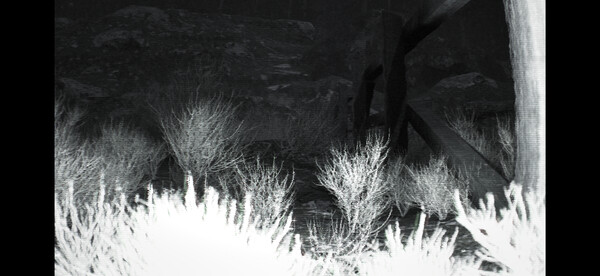 Скриншот из TRAILCAM Скриншот из TRAILCAM