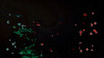Screenshot #7