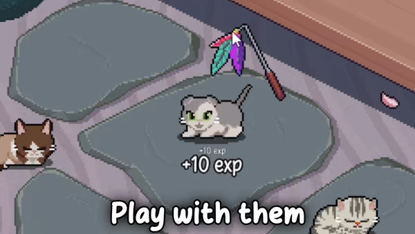 Chonkers video 3