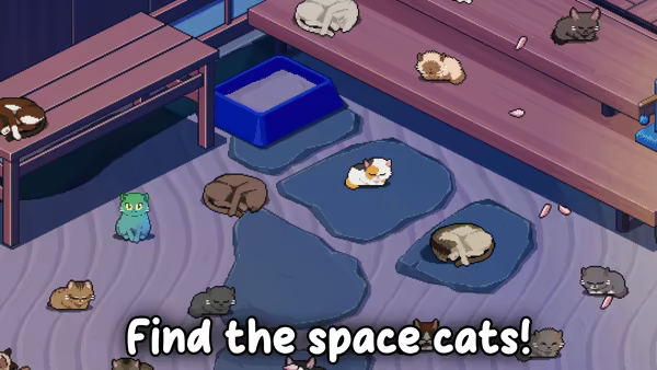 Chonkers video 5