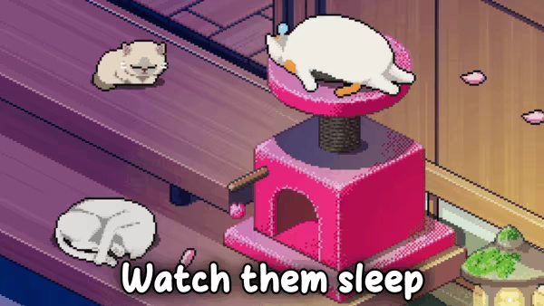 Chonkers video 2