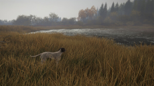 screenshot3