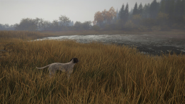 theHunter: Call of the Wild™ - German Shorthaired Pointer