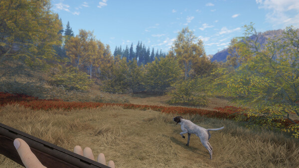 theHunter: Call of the Wild™ - German Shorthaired Pointer