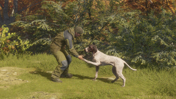 theHunter: Call of the Wild™ - German Shorthaired Pointer