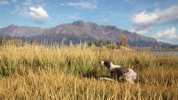 theHunter: Call of the Wild™ - German Shorthaired Pointer