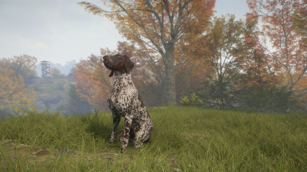 theHunter: Call of the Wild™ - German Shorthaired Pointer