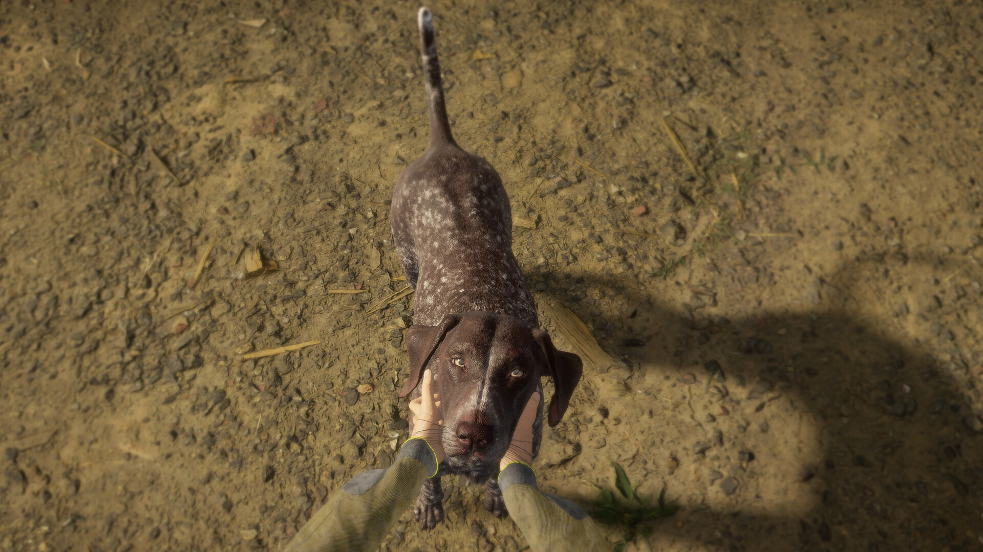 theHunter: Call of the Wild™ - German Shorthaired Pointer Featured Screenshot #1