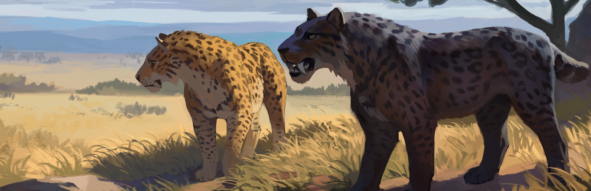The Wild