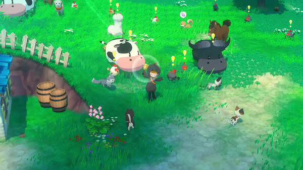 STORY OF SEASONS: Grand Bazaar - Trunk of Transformation