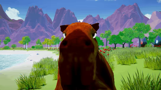 Capybaria video 2