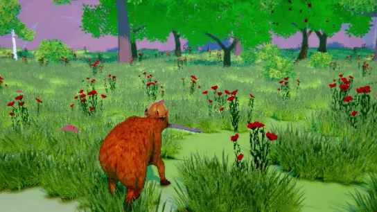Capybaria video 4