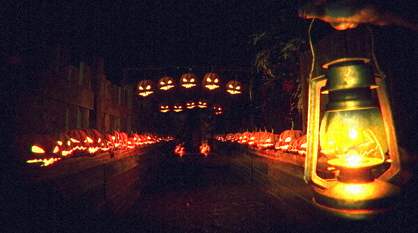 Screenshot z Terror in the Corn