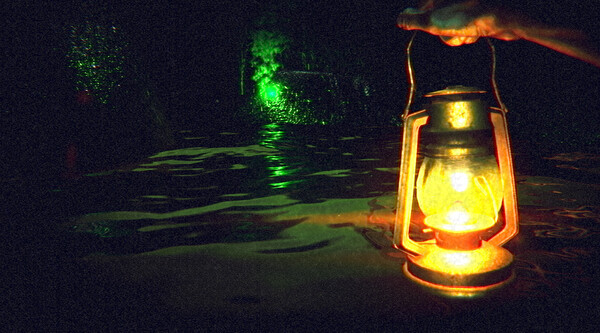 Screenshot z Terror in the Corn