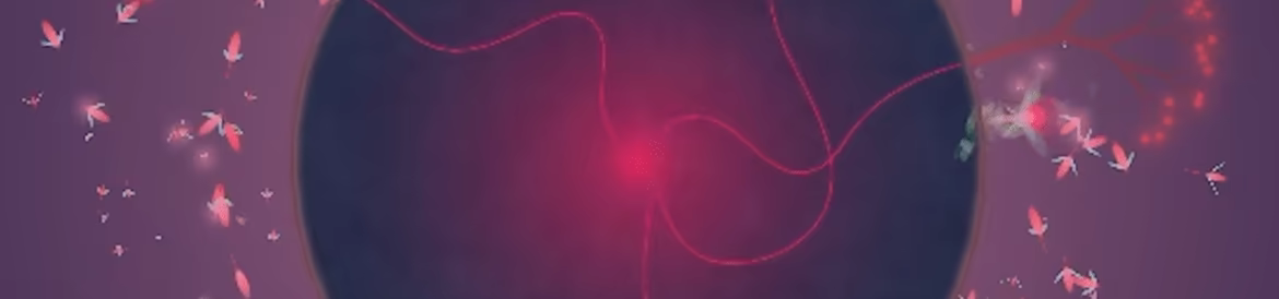 Eufloria Classic video 6