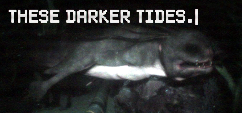 These Darker Tides cover art
