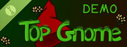 Top Gnome Demo