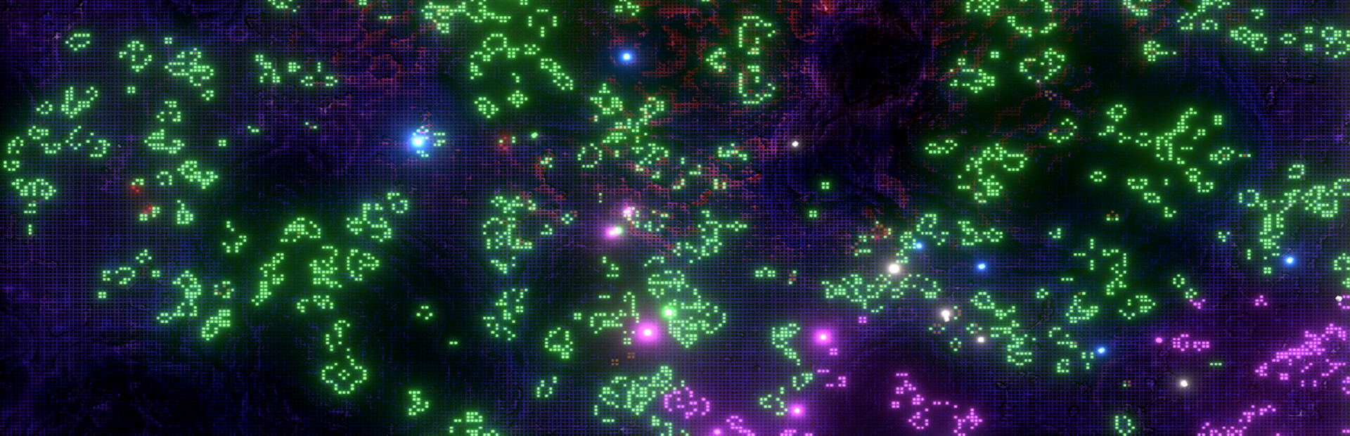 SynthetiCell BioClicker