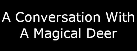 A Conversation With A Magical Deer cover art
