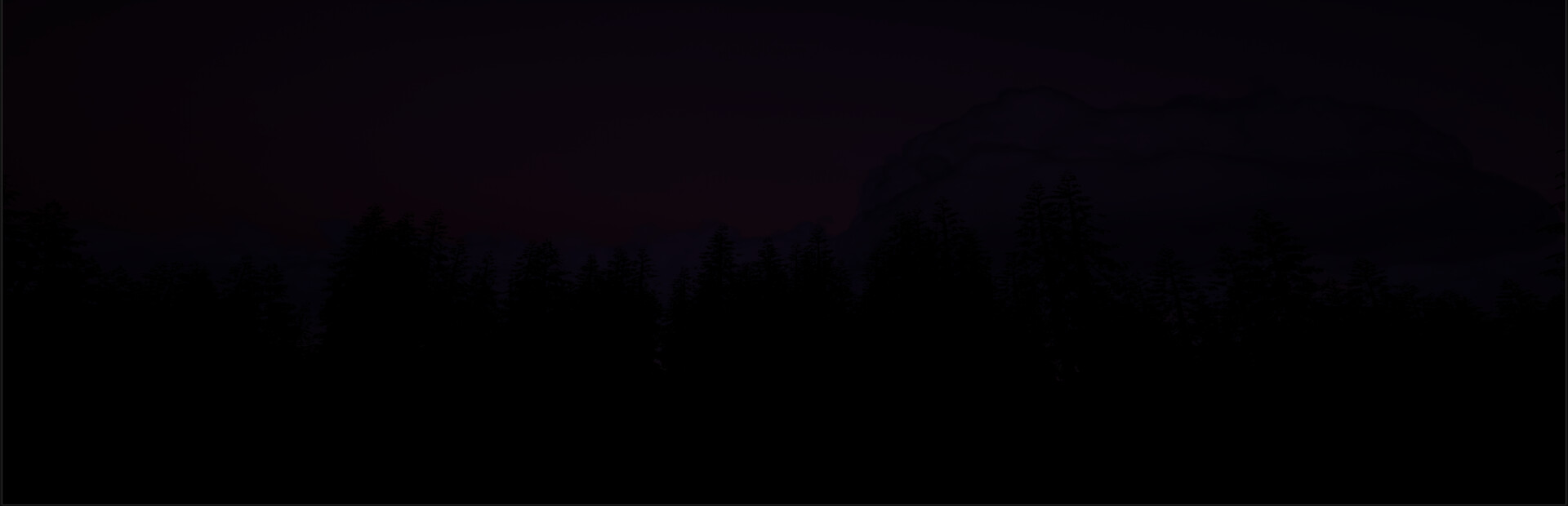 In The Woods