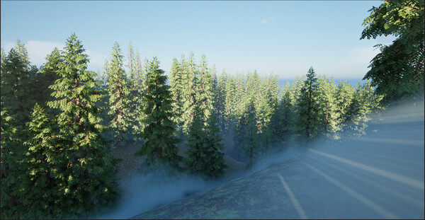 In The Woods screenshot 3