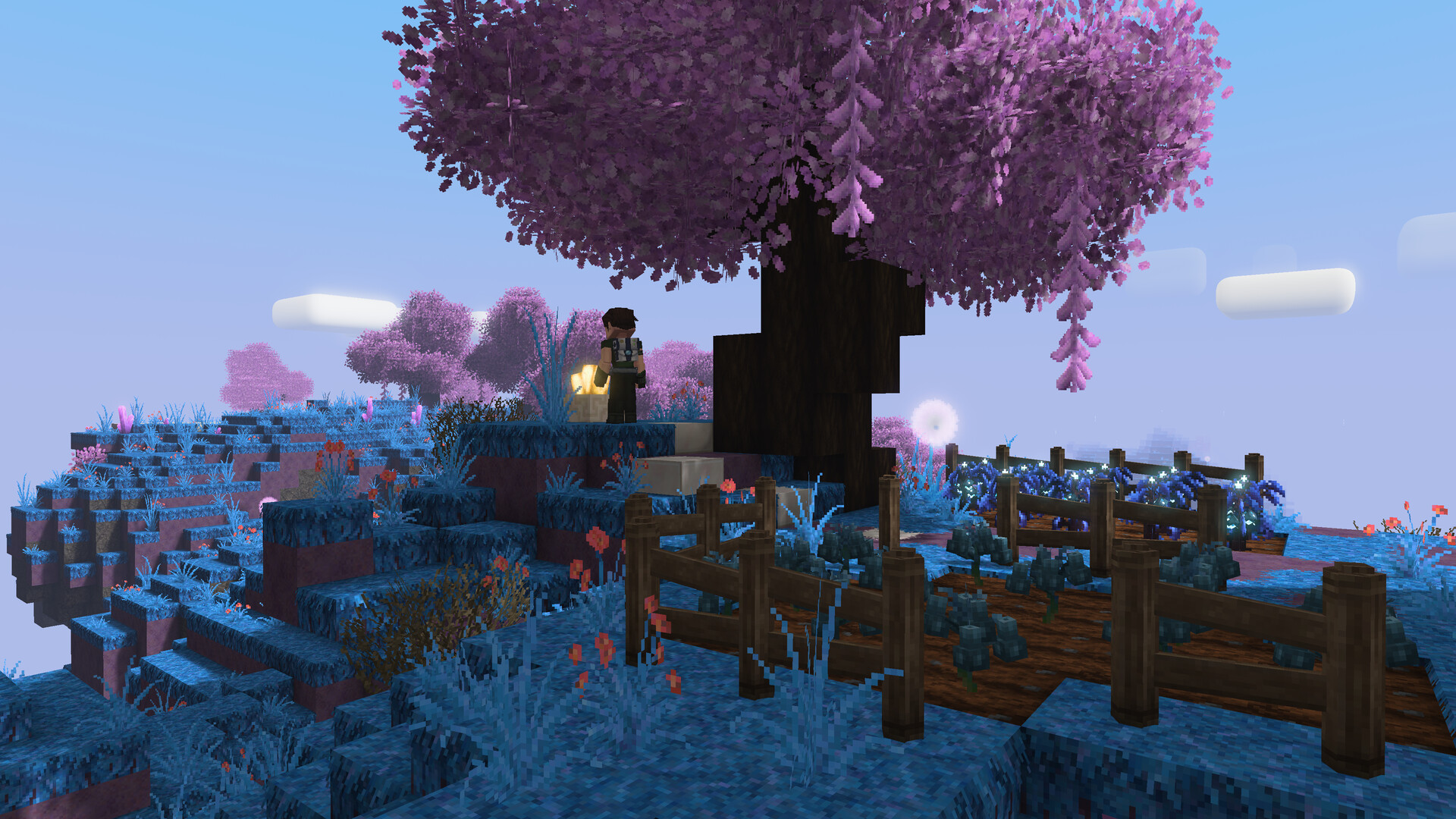Tesera screenshot #8