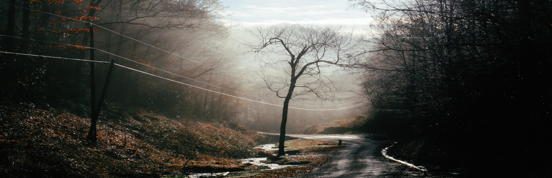 Ämäränth : The Last Day of My Adolescence
