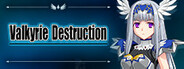 Valkyrie Destruction