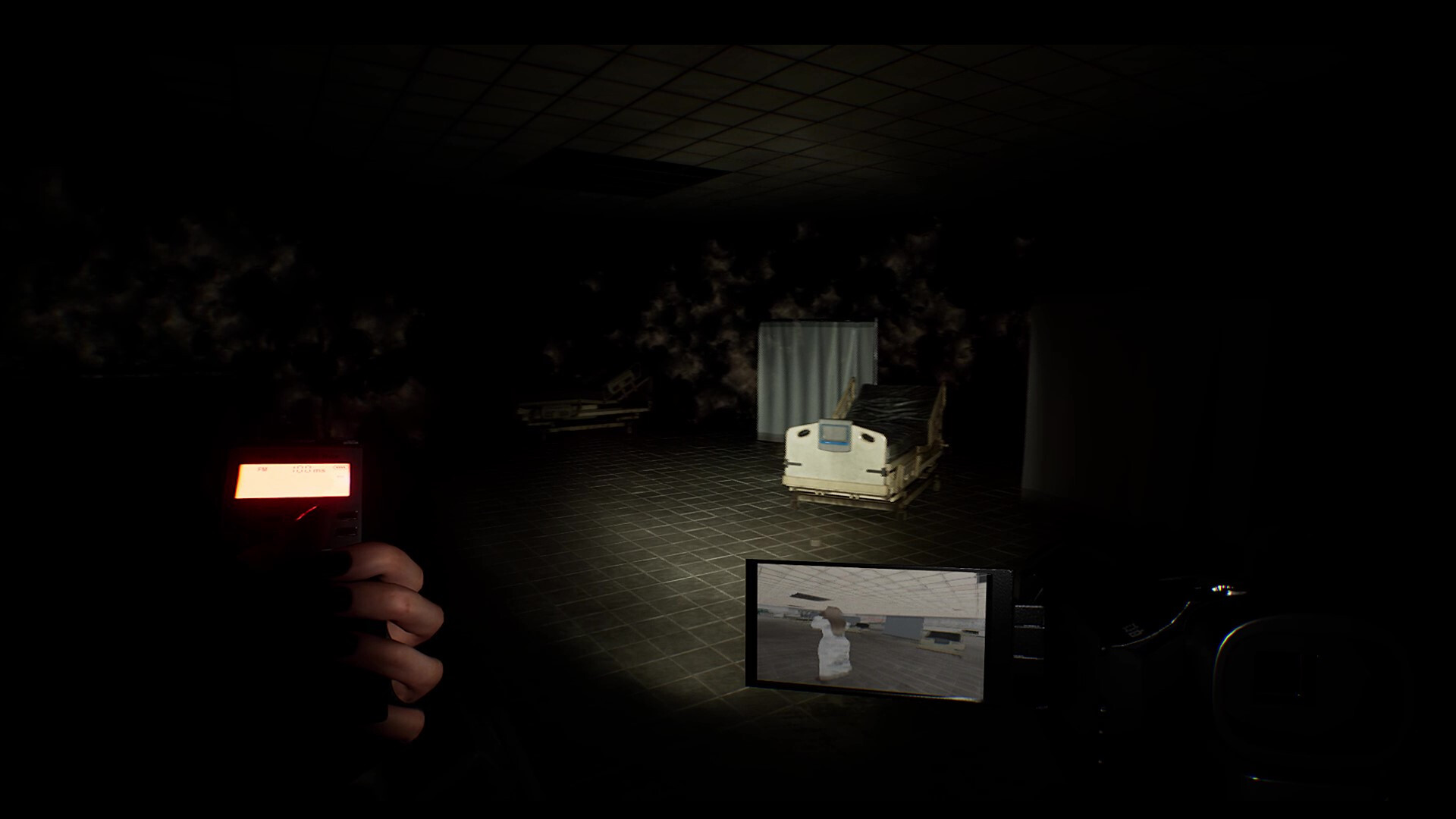 CORPOREAL screenshot #7