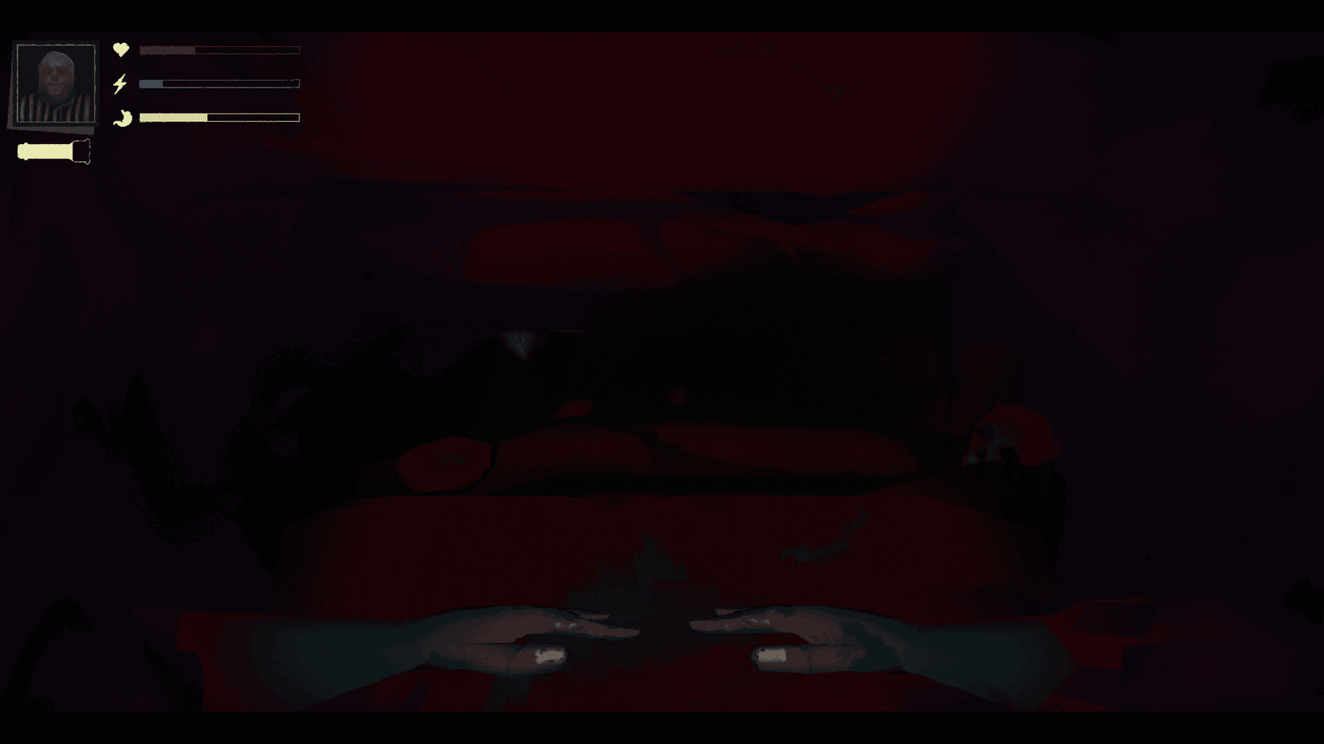 PETRACAL screenshot #5