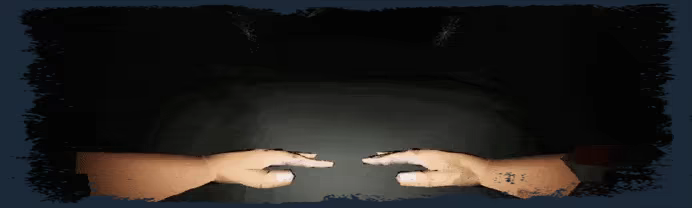 PETRACAL video 5