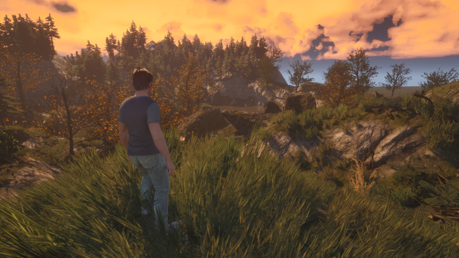 Artemed screenshot #3