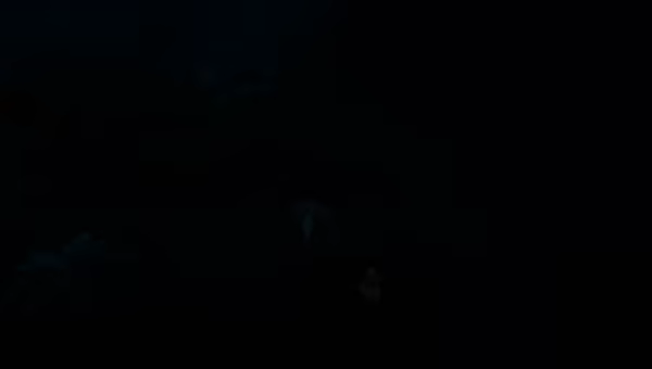 ELIMORA video 9