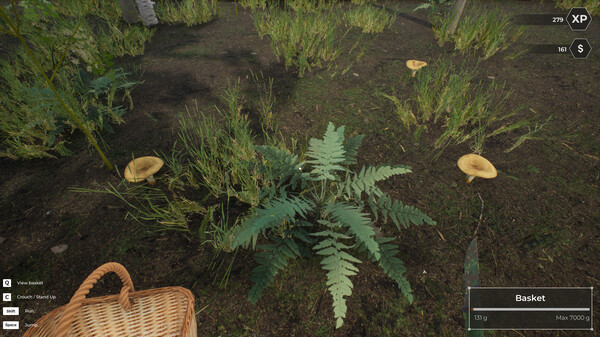 Mushroom Hunter World.