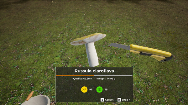 Mushroom Hunter World.