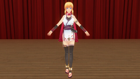 CUSTOM ORDER MAID 3D2 It's a Night Magic Fall in Maids ALL in ONE Pack