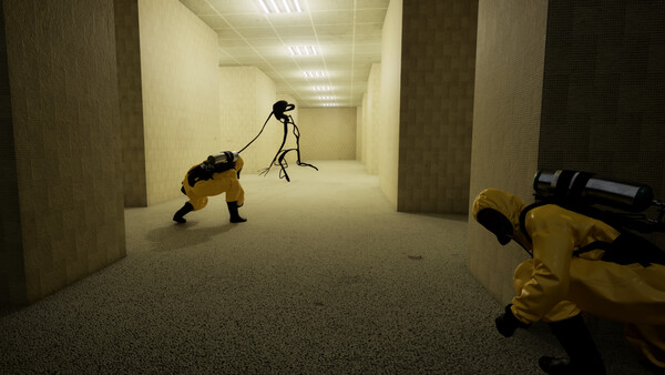 Screenshot of The Backrooms: Rescue Expedition