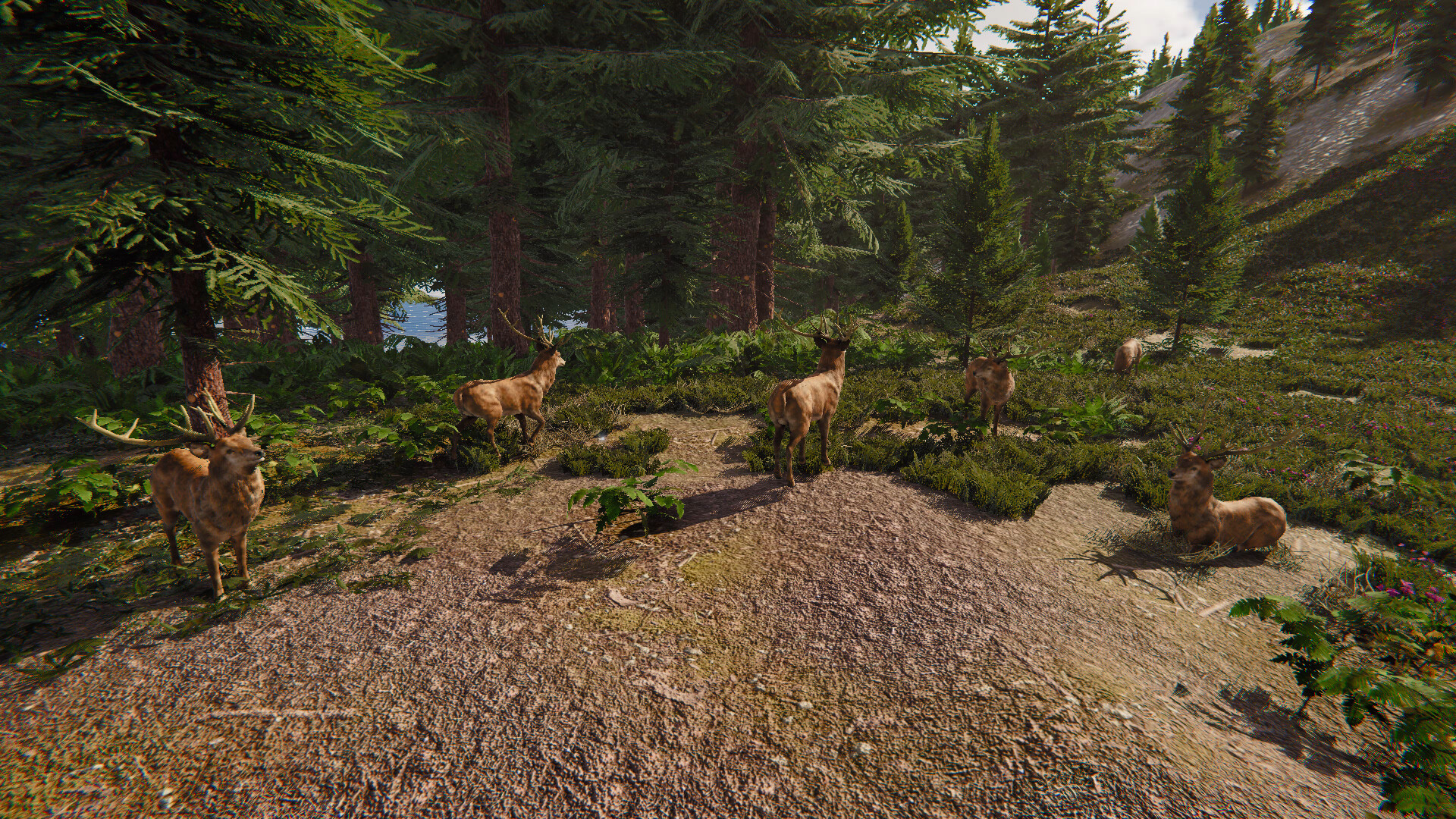 The Lost Hunter screenshot #5