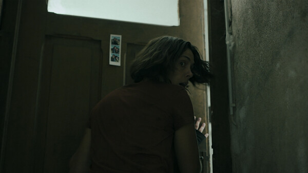 Heart of the Forest.