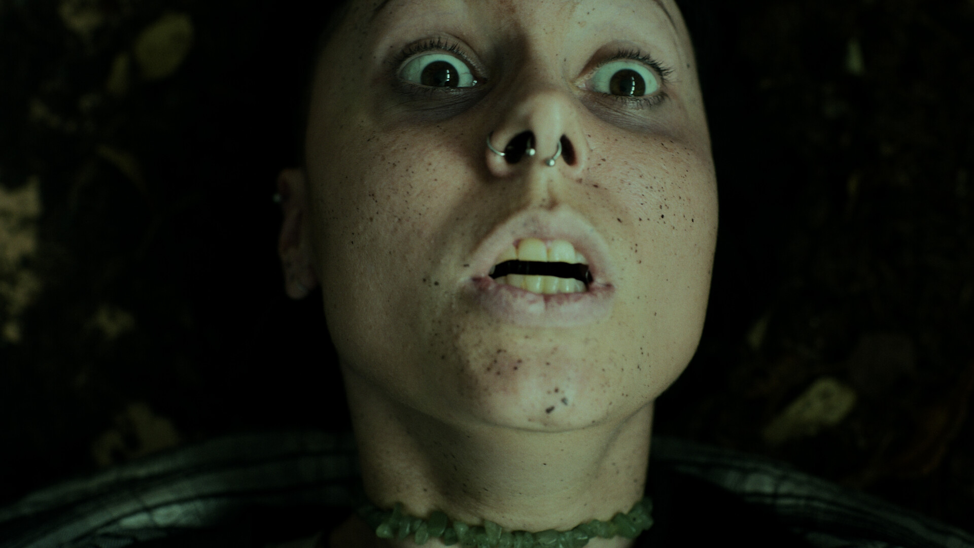 Heart of the Forest image 4