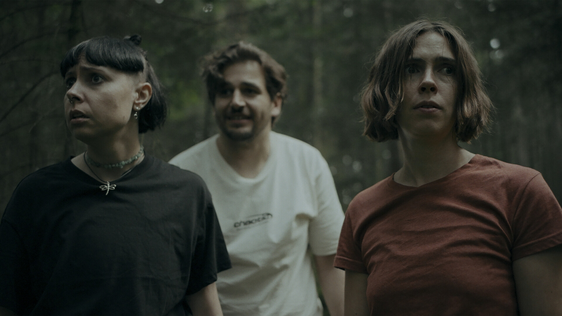 Скриншот игры Heart of the Forest - 5