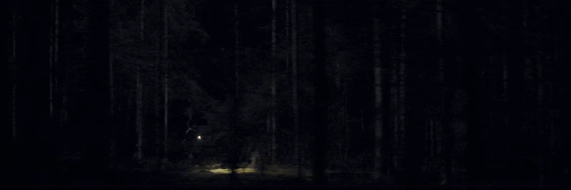 Heart of the Forest video 3